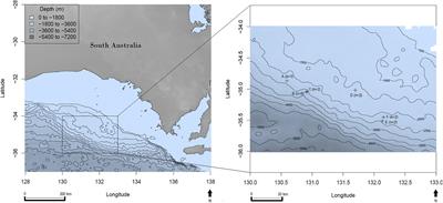 Microplastic Pollution in Deep-Sea Sediments From the Great Australian Bight